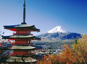 Trip Packages - 世界杯